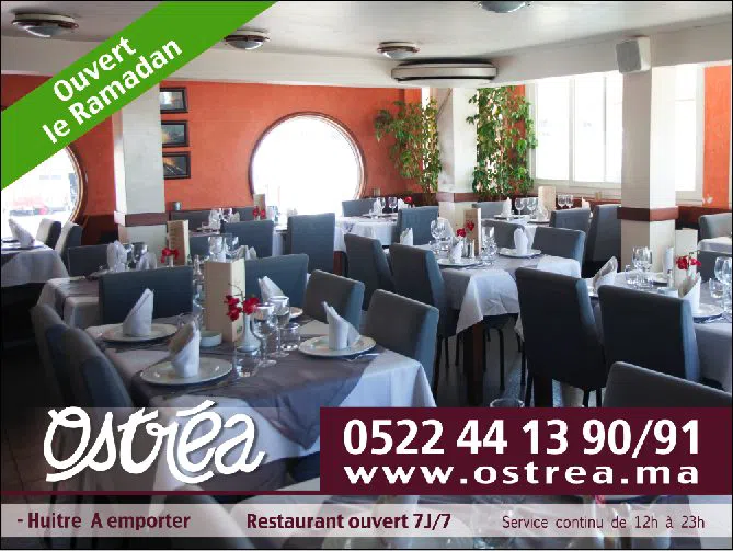Ostrea, Casablanca